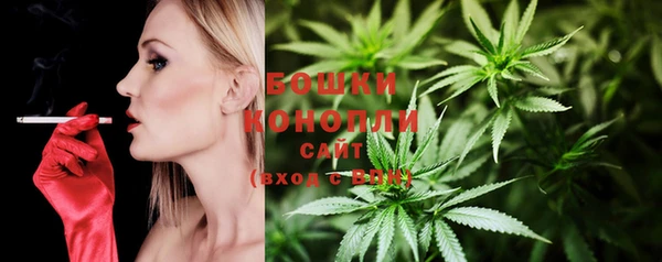 марихуана Новозыбков