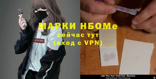 прущая мука Няндома