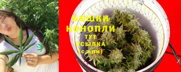 марихуана Новозыбков