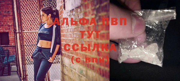 молекула духа Новокубанск