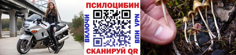Псилоцибиновые грибы мицелий  Купить  Красный Сулин 